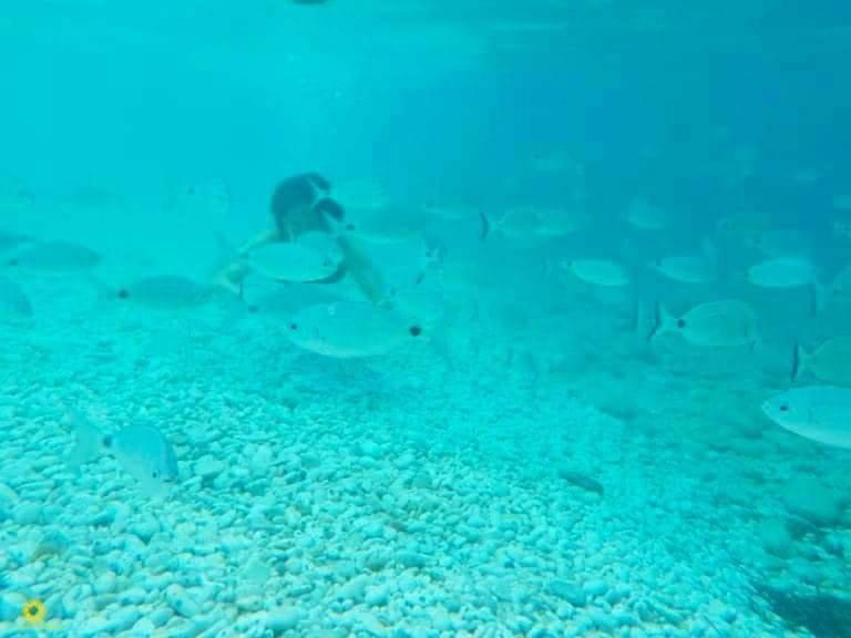 Ghiaie Sea View Διαμέρισμα Portoferraio Εξωτερικό φωτογραφία